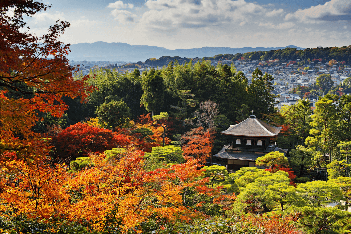 Ginkakuji, the Silver Pavilion. You Have to Eat These Dishes in Kyoto, by Boutique Japan.