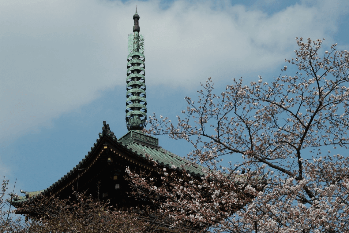 Cherry blossoms in spring at Toeizan Kanei-ji Endon-in, Ueno Park, Tokyo, Japan