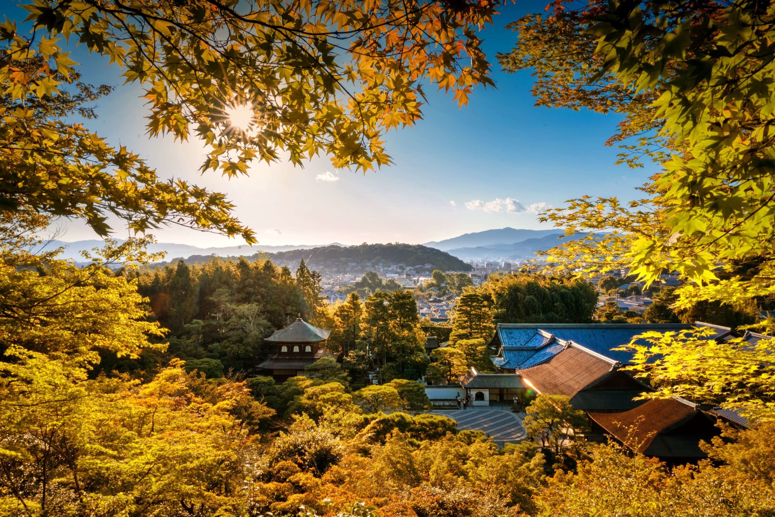 Yellow autumn leaves Ginkakuji Silver Pavilion Kyoto Japan