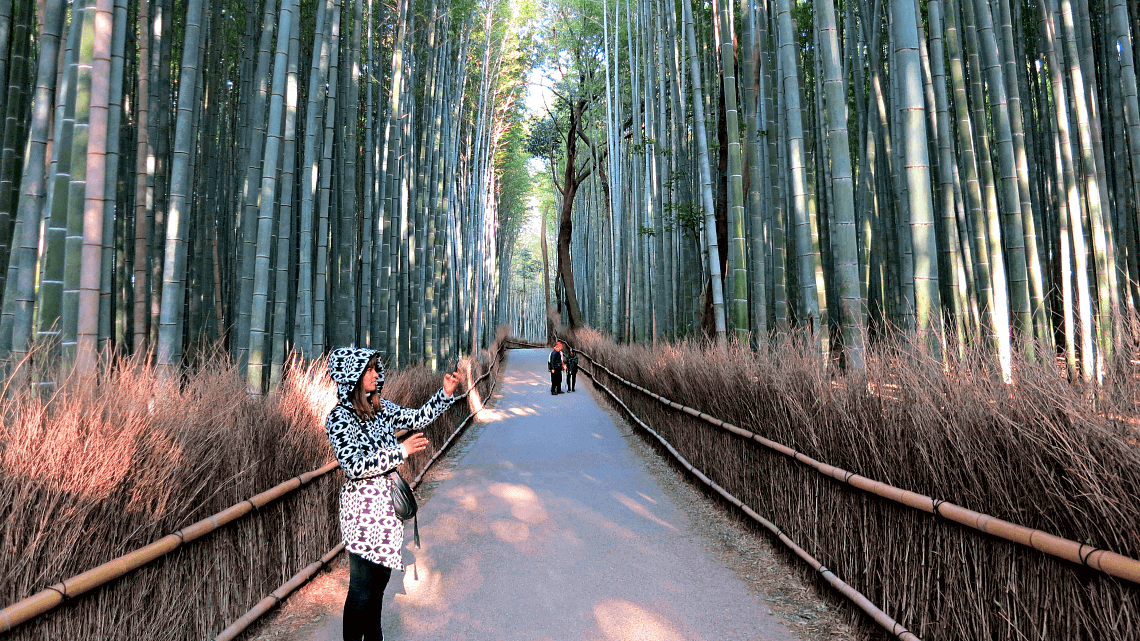 Our featured traveler, Amanda, taking photos in Arashiyama's bamboo grove in Kyoto, Japan