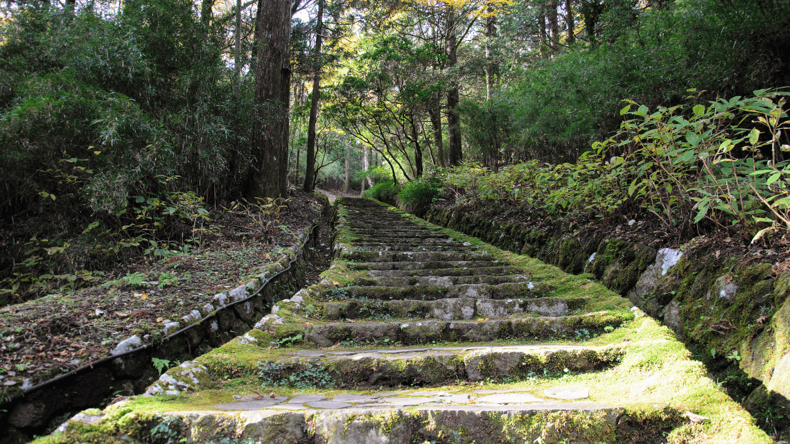 The Old Tokaido Road, Hakone National Park, Hakone, Japan The Old Tokaido Road, Hakone National Park, Hakone, Japan