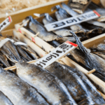 tsukiji fish market tokyo japan