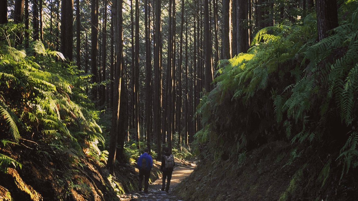 Kumano Kodo Hosshinmon-oji Kumano Hongu Taisha Wakayama Japan