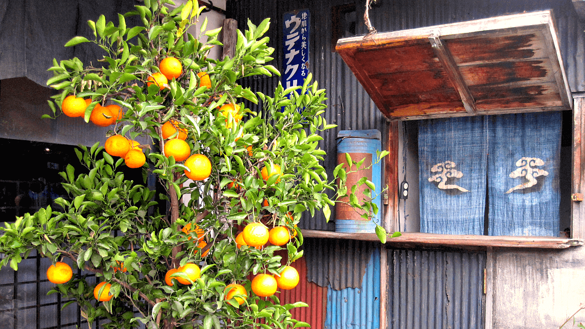 Street scenes in Daikanyama, Tokyo, Japan