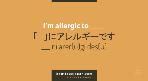 Boutique Japan Tiny Phrasebook with translations for travelers with dietary restrictions