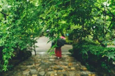 Rainy day Kyoto Japan