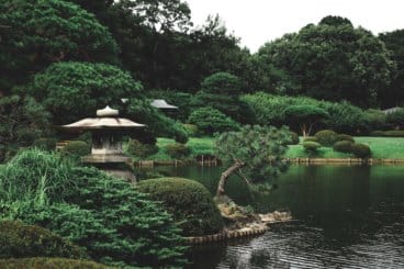 Shinjuku Gyoen National Garden Tokyo Japan