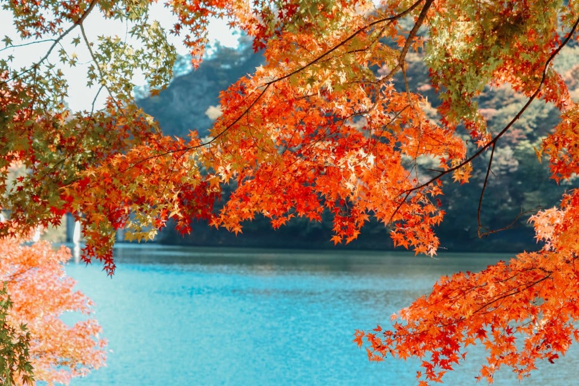 Usui Lake Annaka Gunma Japan