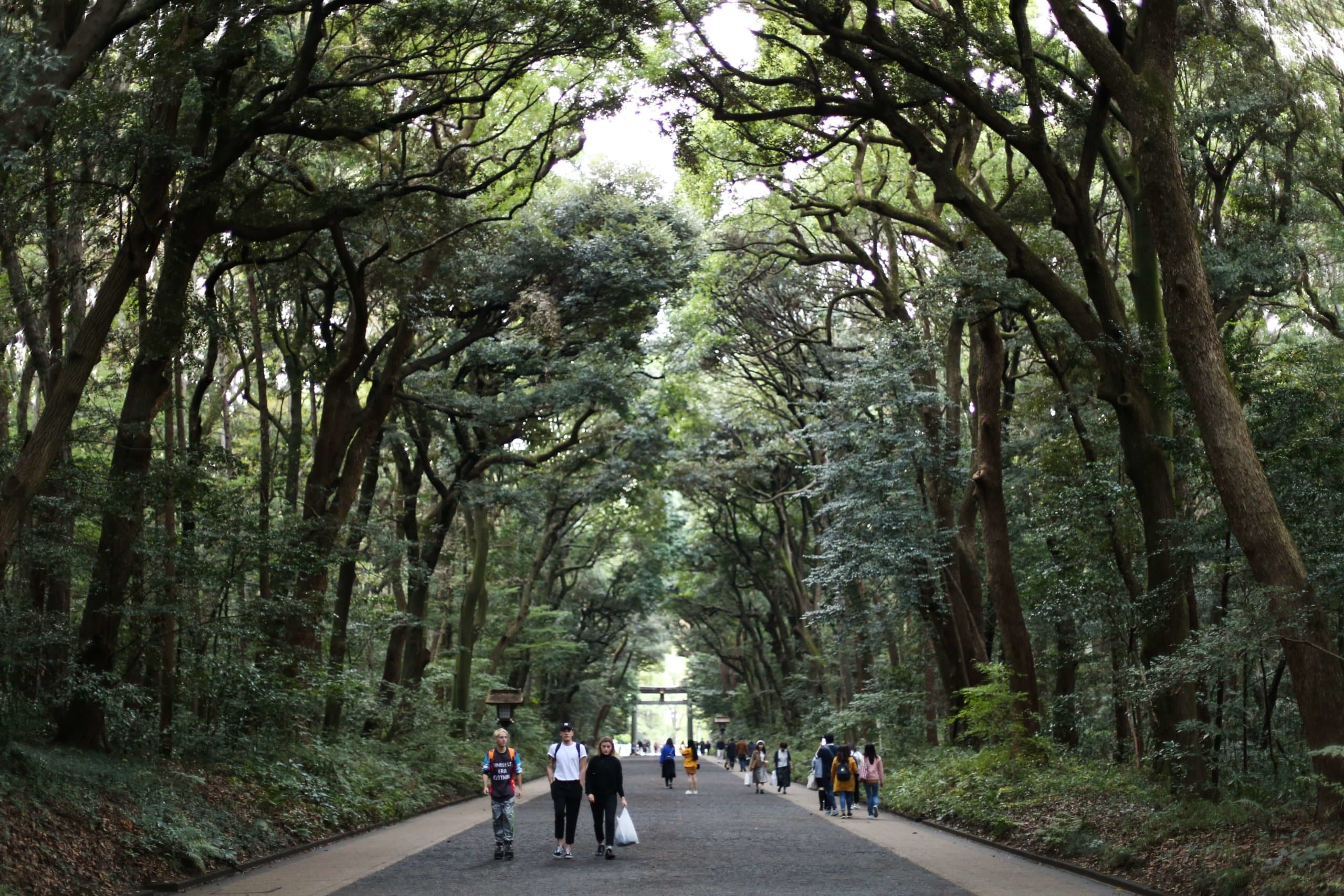 Meiji Shrine Tokyo