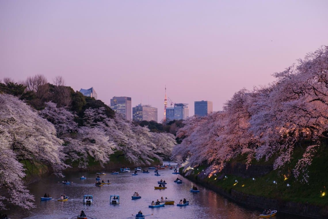 Spring in Tokyo: See Why it's the Most Beautiful Season