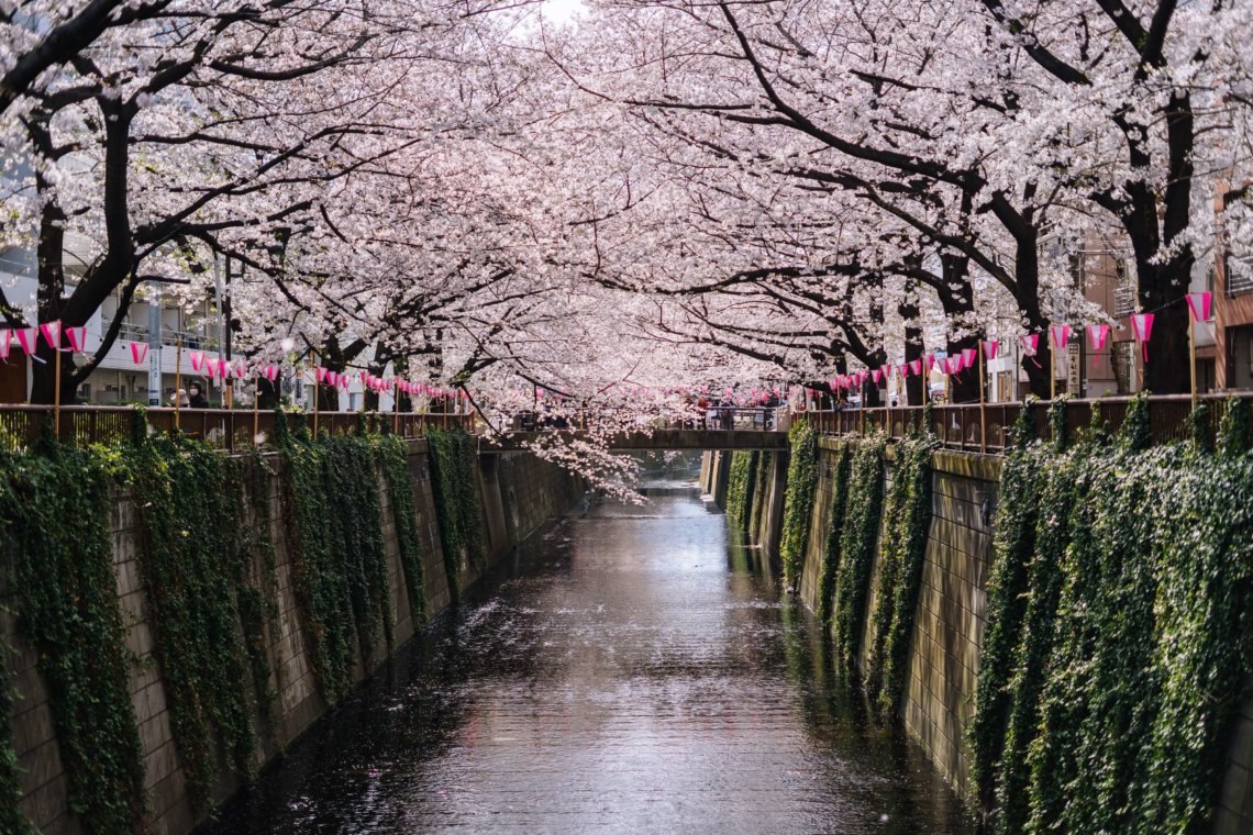 The Weather and Temperature in Tokyo by Month