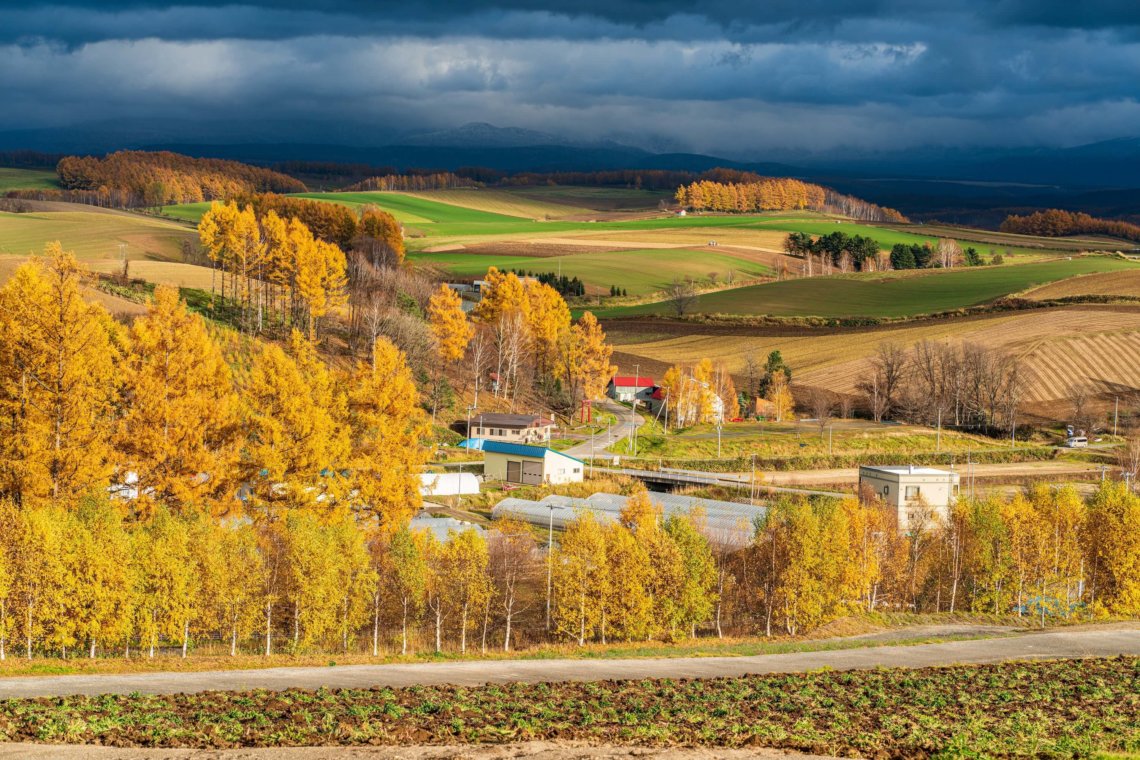 Furano Hokkaido Japan