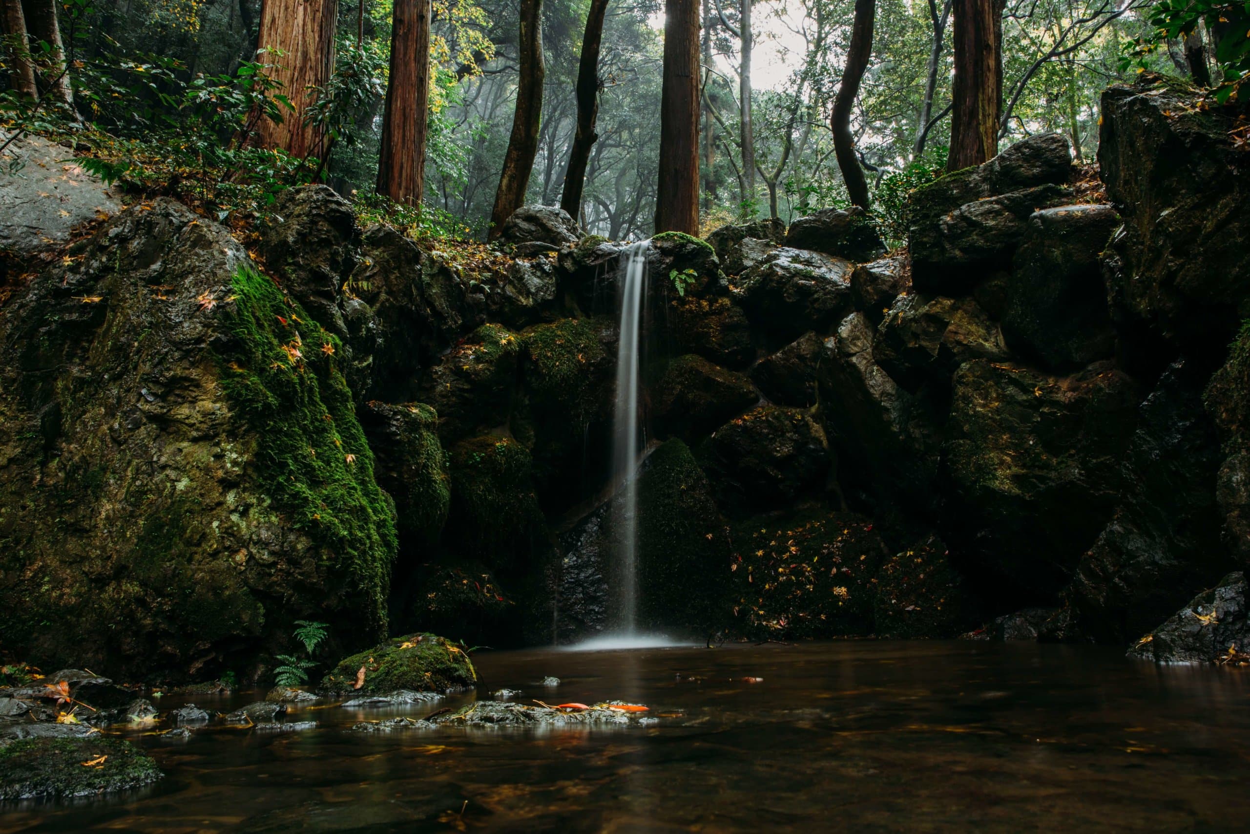 Waterfall garden Daigoji temple Kyoto Japan