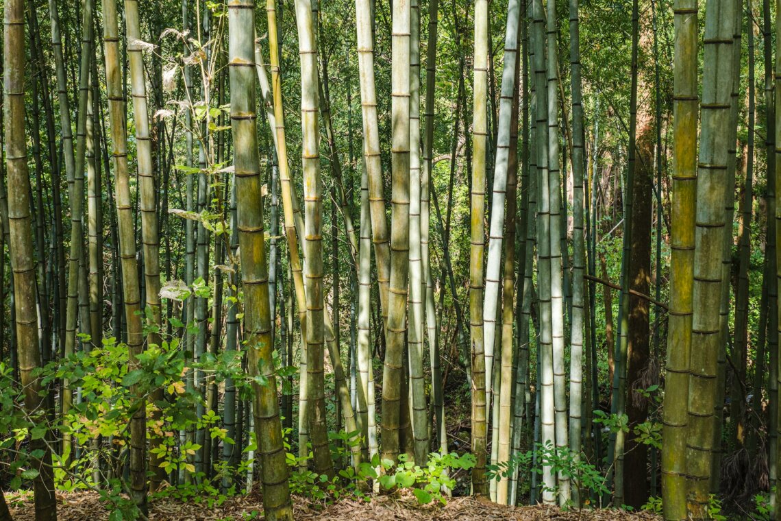 Nakasendo trail hotsell 3 days